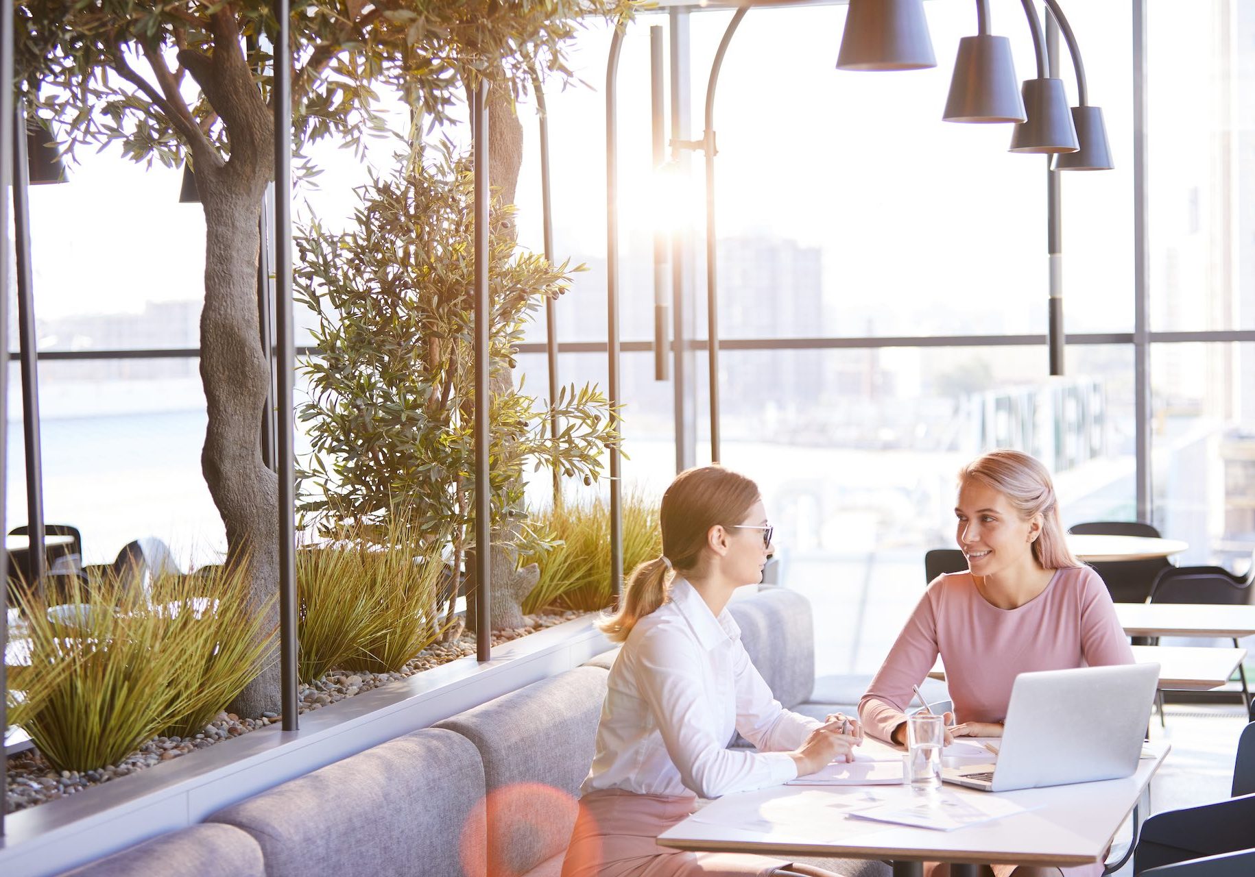 Positive young attractive women sitting at table in modern restaurant and using laptop while talking about project development